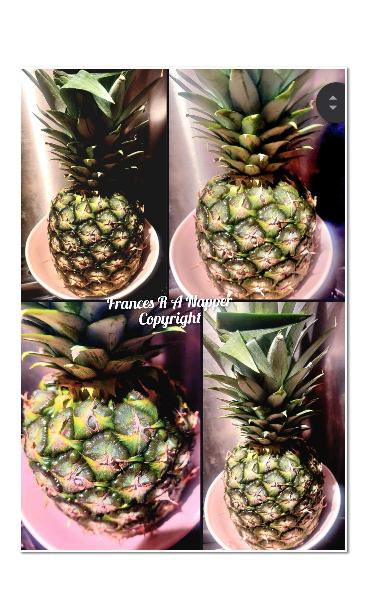 Agadoo and Pinapples – SmileyRose Ramblings by Frances Rose Agnes ...