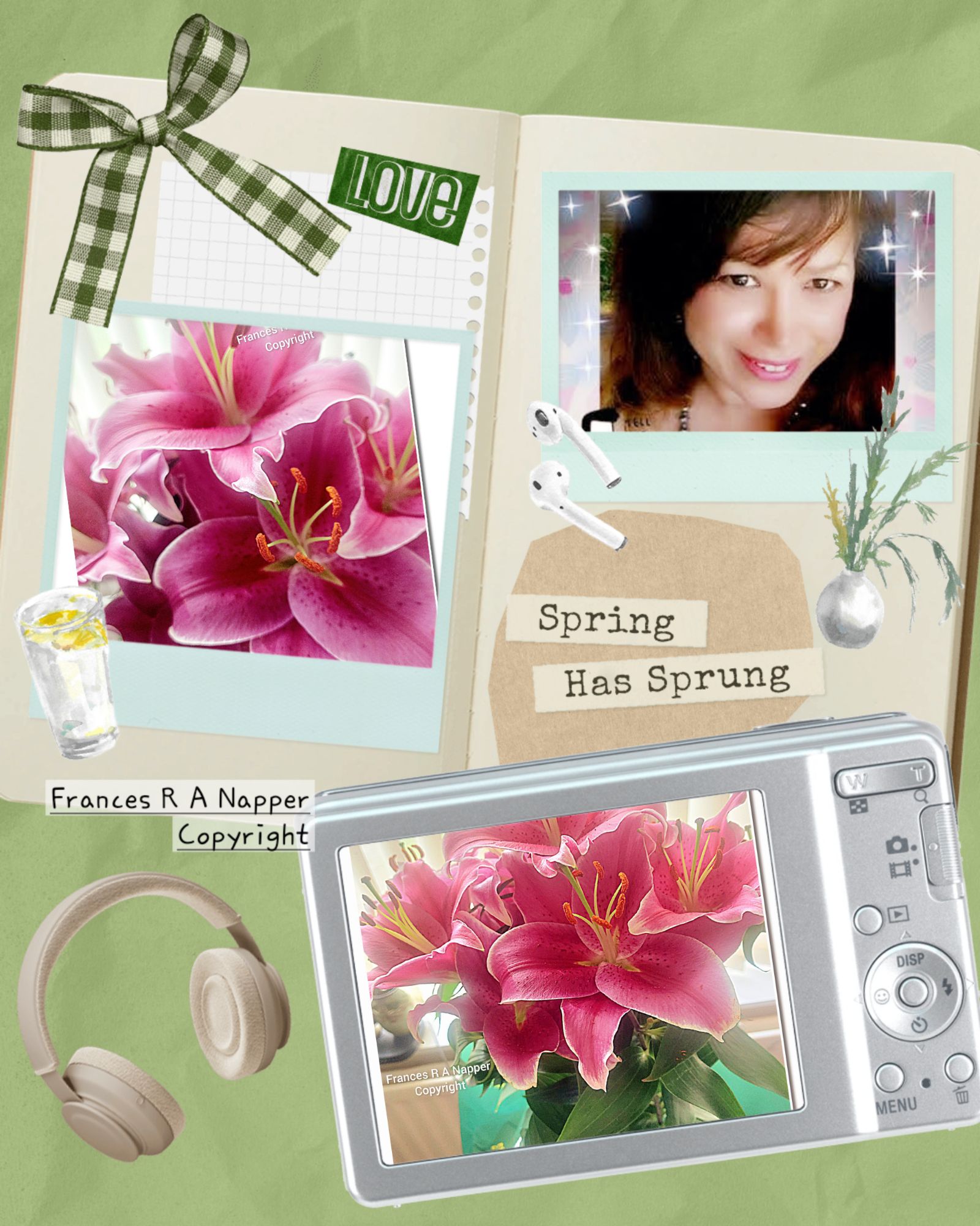 A Picnic With My Daughter – SmileyRose Ramblings by Frances Rose Agnes ...